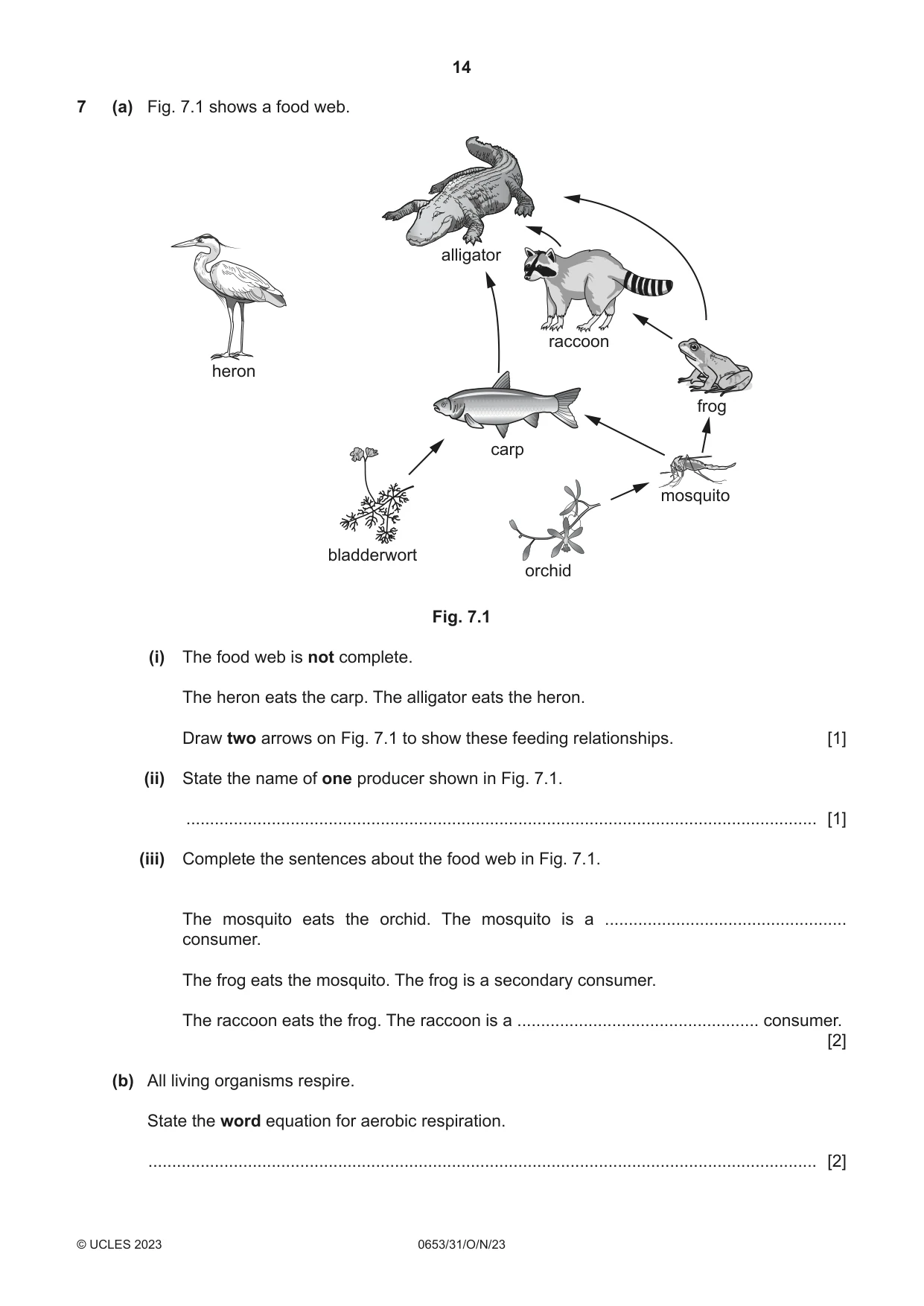Cambridge IGCSE Science - Combined 0653 2023 Oct/Nov Paper 3 · Variant 1 question paper, page 14 of 20