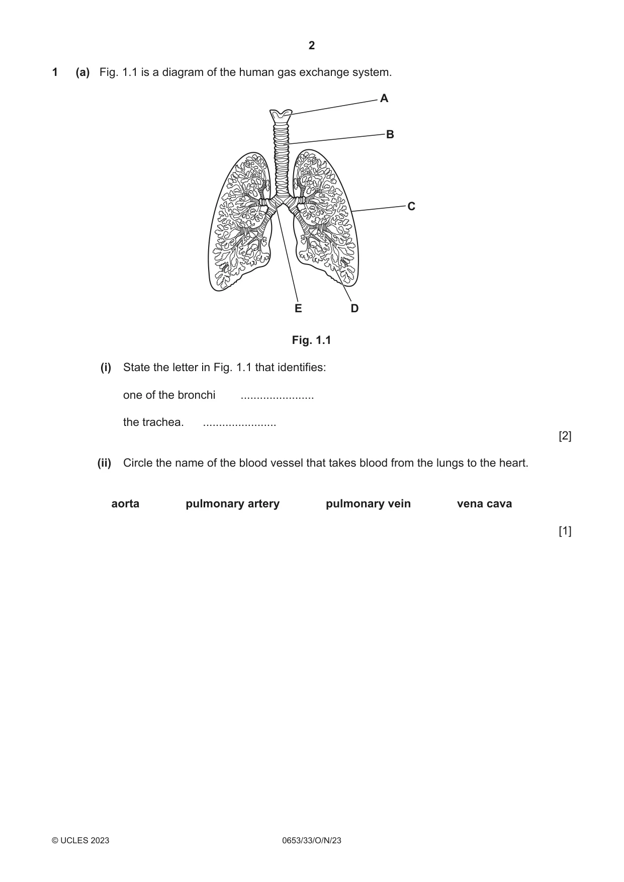 Cambridge IGCSE Science - Combined 0653 2023 Oct/Nov Paper 3 · Variant 3 question paper, page 2 of 24