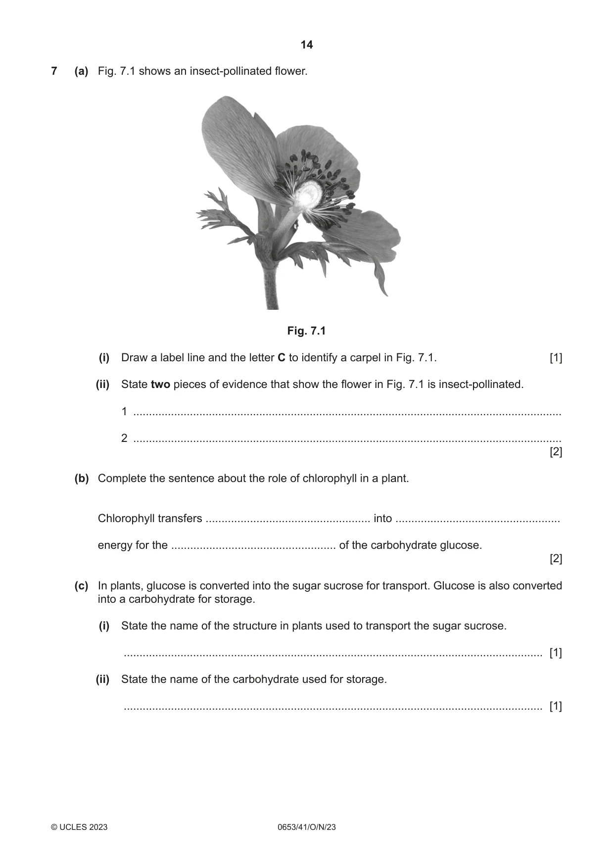 Cambridge IGCSE Science - Combined 0653 2023 Oct/Nov Paper 4 · Variant 1 question paper, page 14 of 20