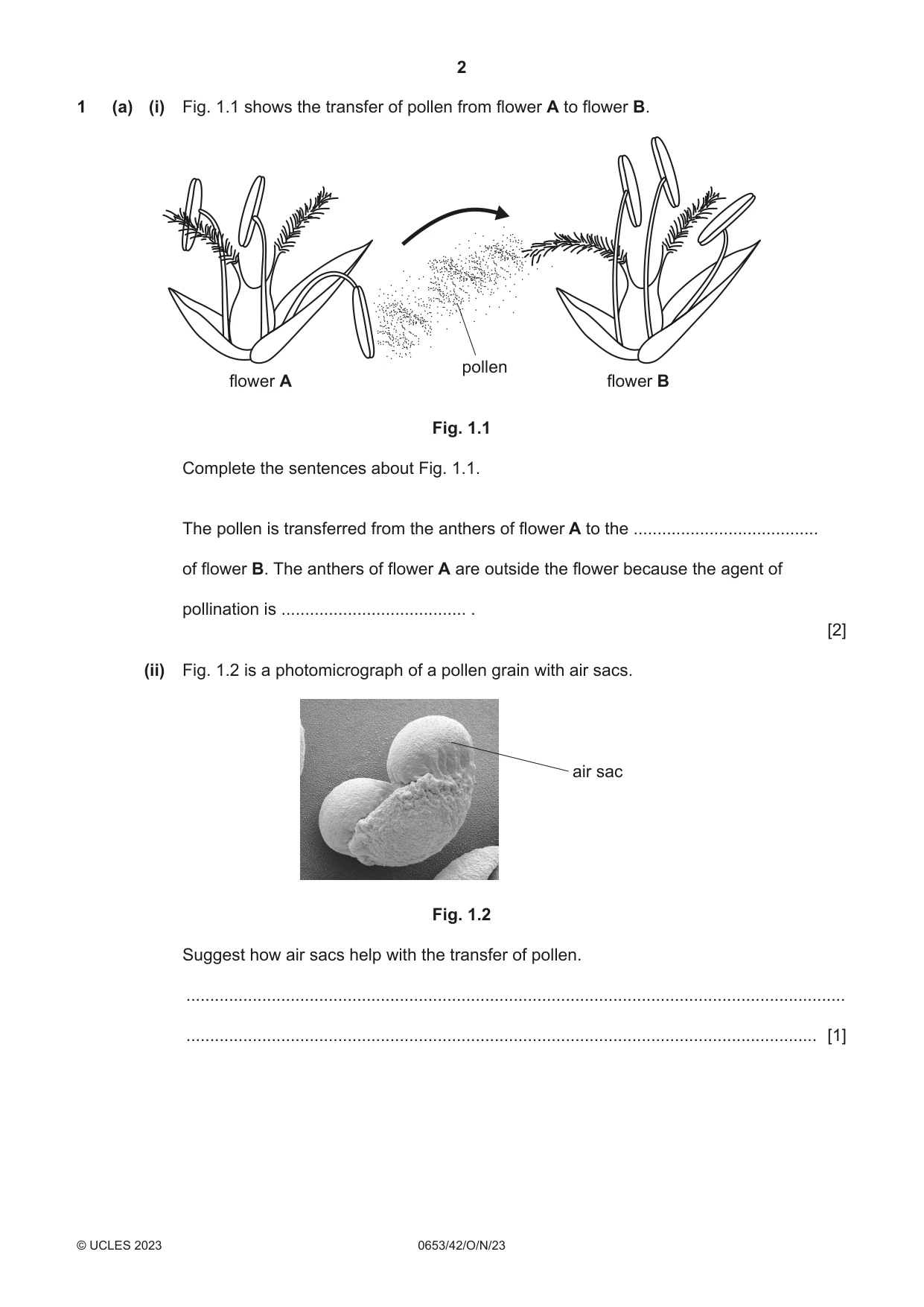 Cambridge IGCSE Science - Combined 0653 2023 Oct/Nov Paper 4 · Variant 2 question paper, page 2 of 20
