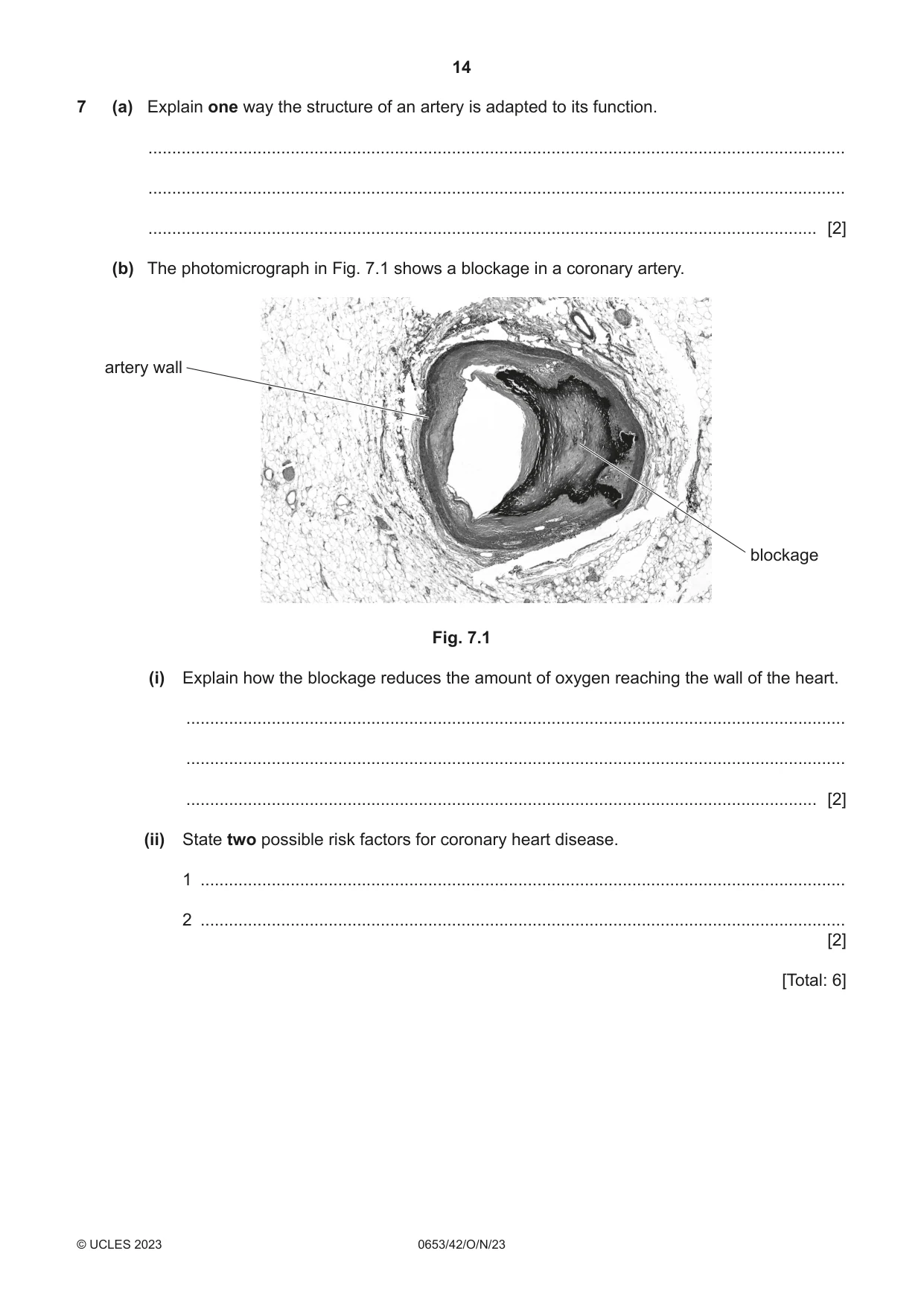 Cambridge IGCSE Science - Combined 0653 2023 Oct/Nov Paper 4 · Variant 2 question paper, page 14 of 20