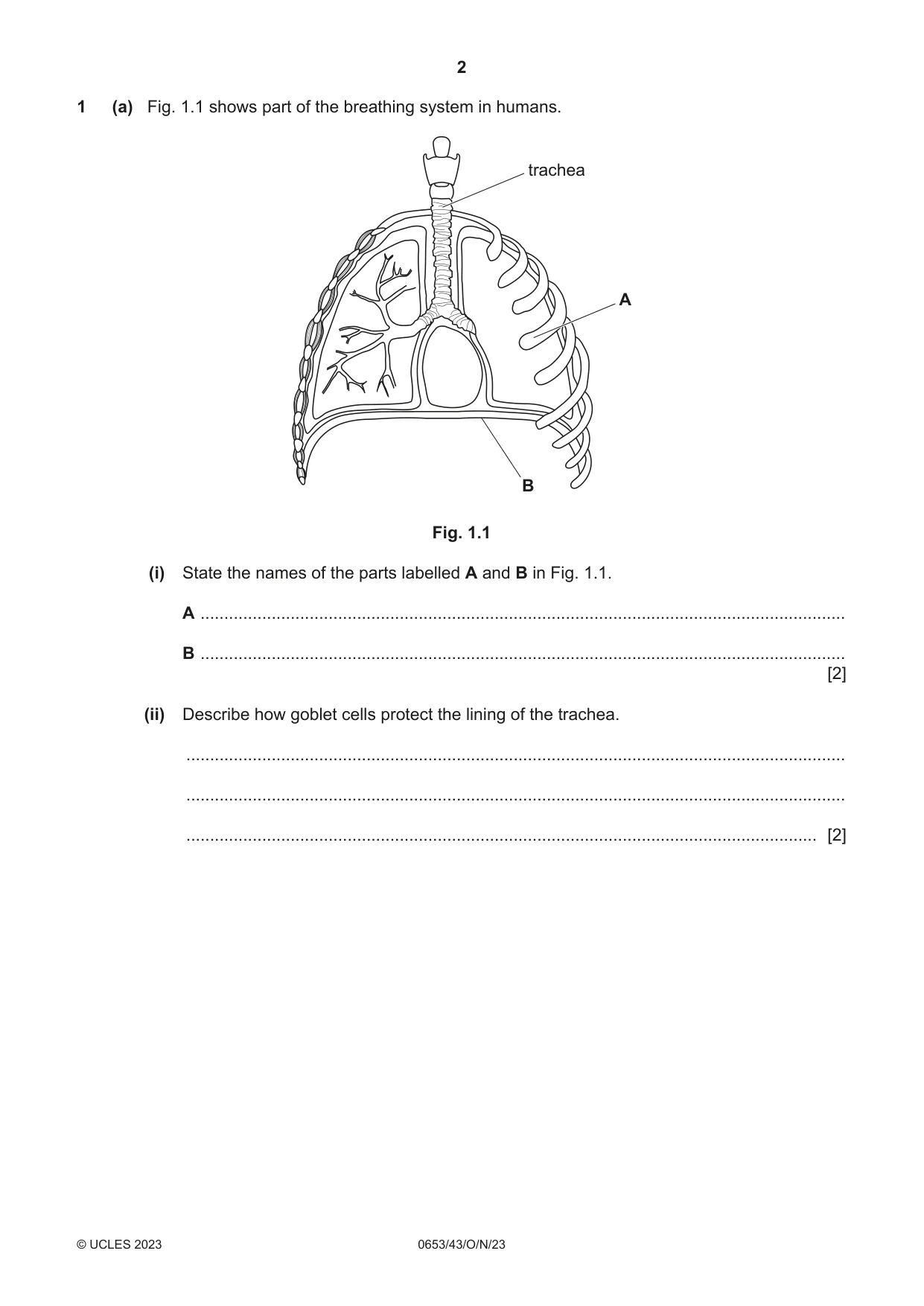 Cambridge IGCSE Science - Combined 0653 2023 Oct/Nov Paper 4 · Variant 3 question paper, page 2 of 24