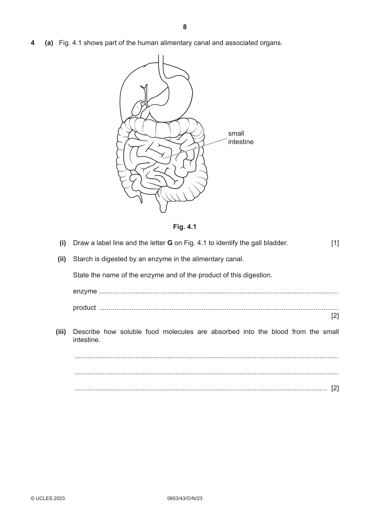 Cambridge IGCSE Science - Combined 0653 2023 Oct/Nov Paper 4 · Variant 3 question paper, page 8 of 24