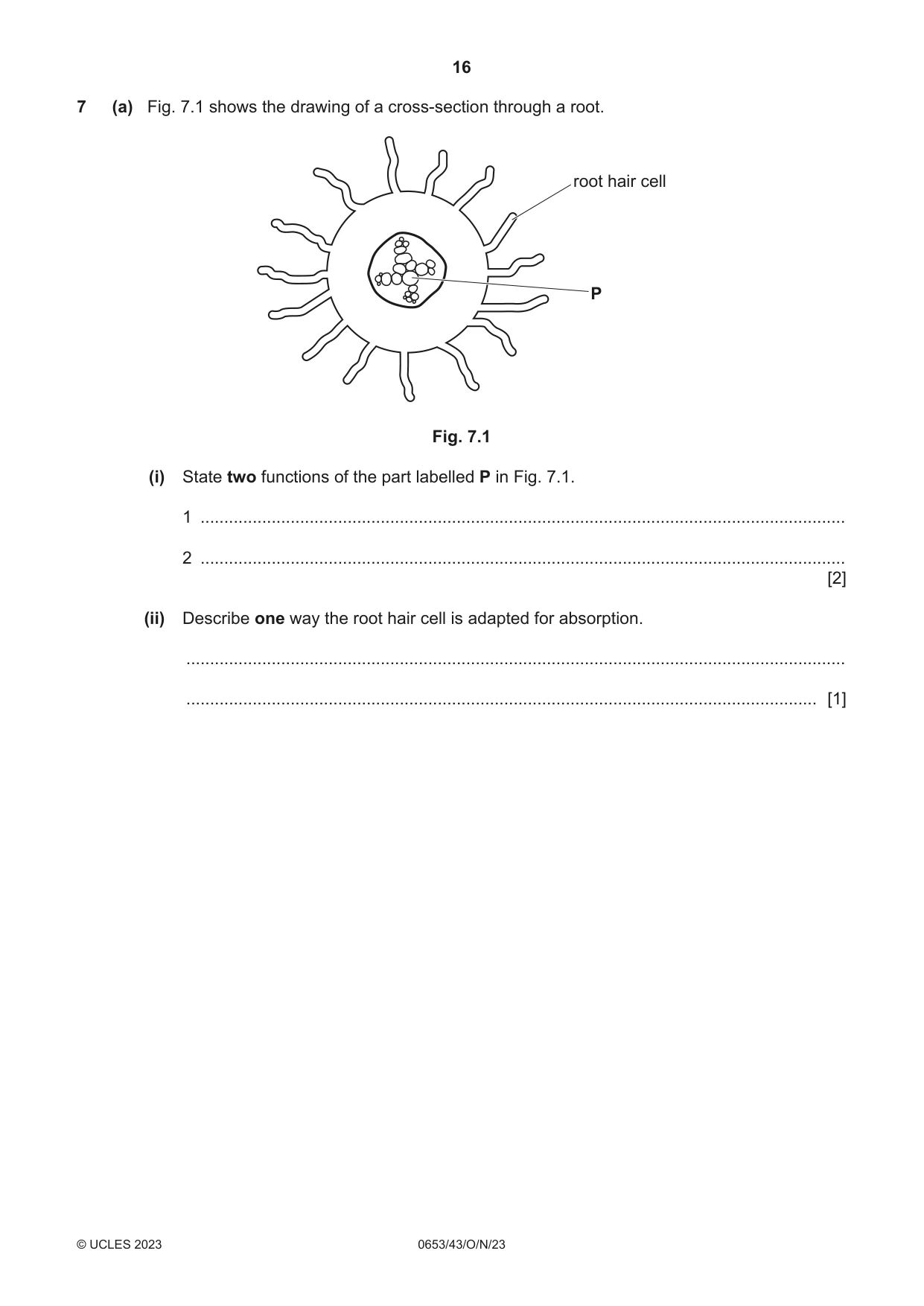 Cambridge IGCSE Science - Combined 0653 2023 Oct/Nov Paper 4 · Variant 3 question paper, page 16 of 24