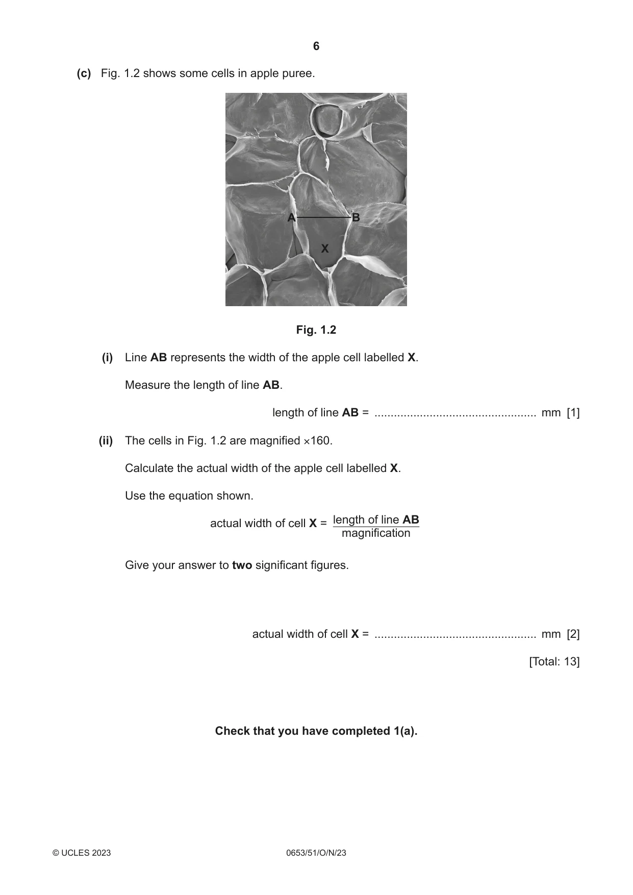Cambridge IGCSE Science - Combined 0653 2023 Oct/Nov Paper 5 · Variant 1 question paper, page 6 of 16
