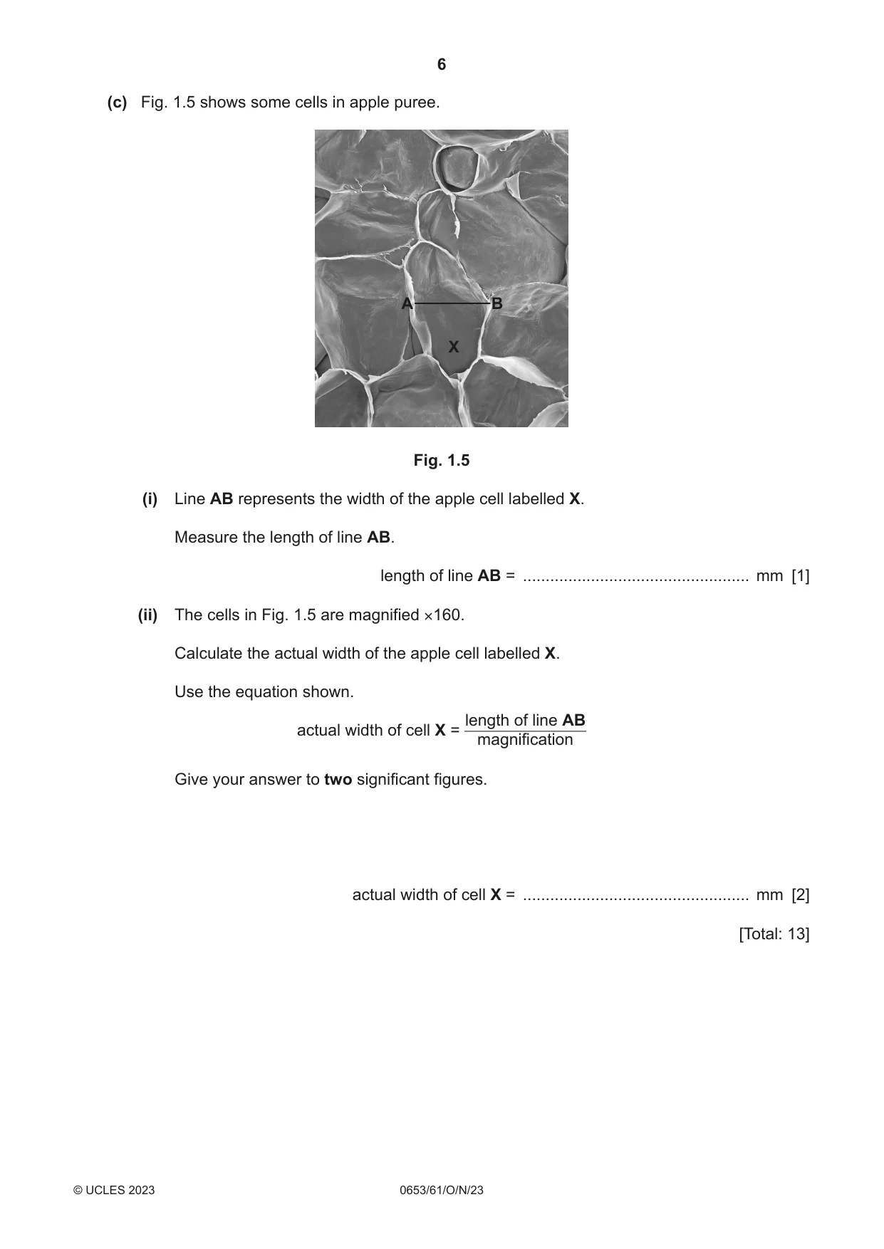 Cambridge IGCSE Science - Combined 0653 2023 Oct/Nov Paper 6 · Variant 1 question paper, page 6 of 16
