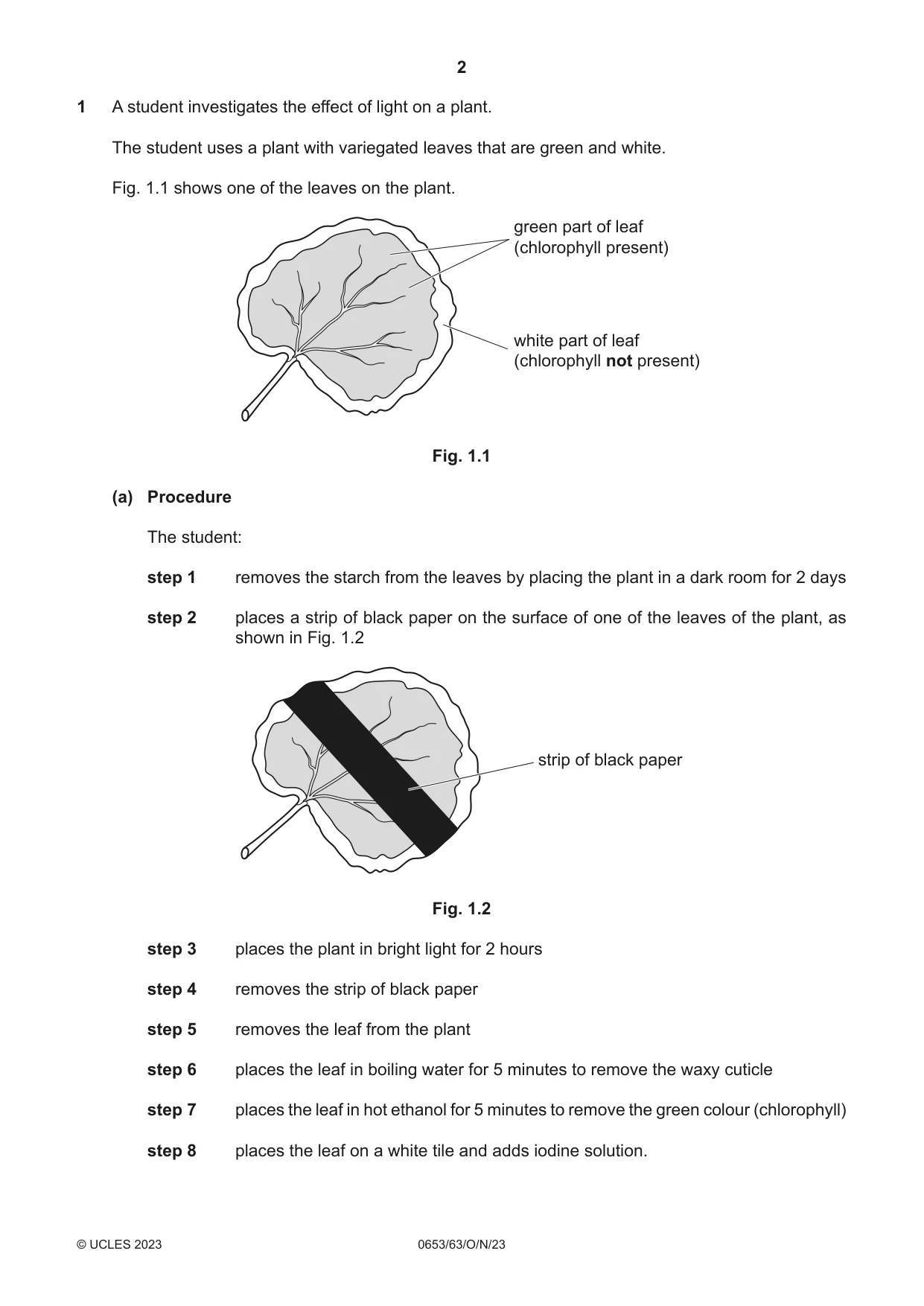 Cambridge IGCSE Science - Combined 0653 2023 Oct/Nov Paper 6 · Variant 3 question paper, page 2 of 16