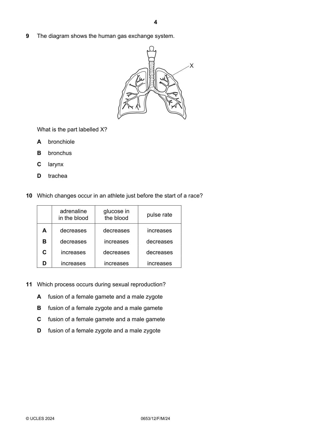 Cambridge IGCSE Science - Combined 0653 2024 Feb/March Paper 1 · Variant 2 question paper, page 4 of 16