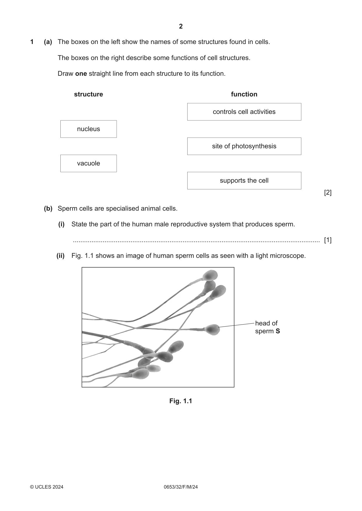 Cambridge IGCSE Science - Combined 0653 2024 Feb/March Paper 3 · Variant 2 question paper, page 2 of 24