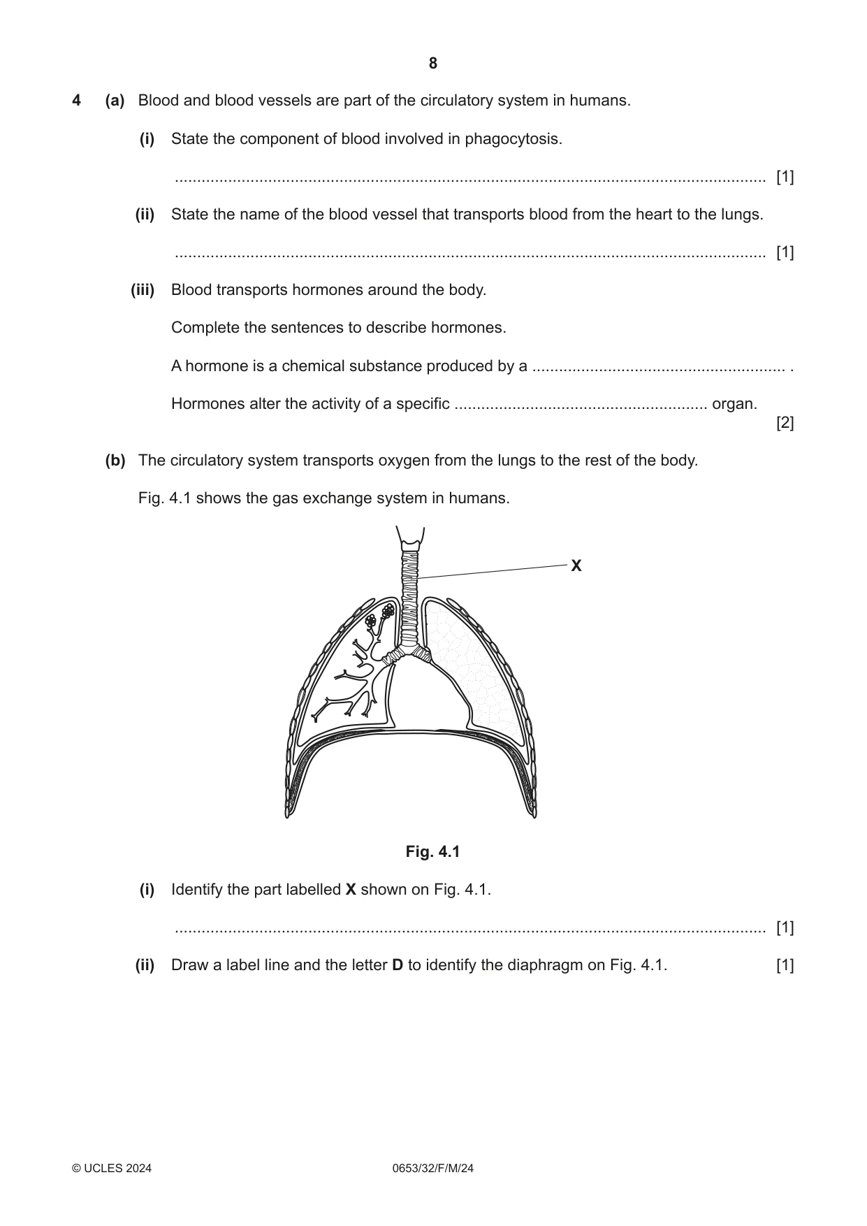 Cambridge IGCSE Science - Combined 0653 2024 Feb/March Paper 3 · Variant 2 question paper, page 8 of 24