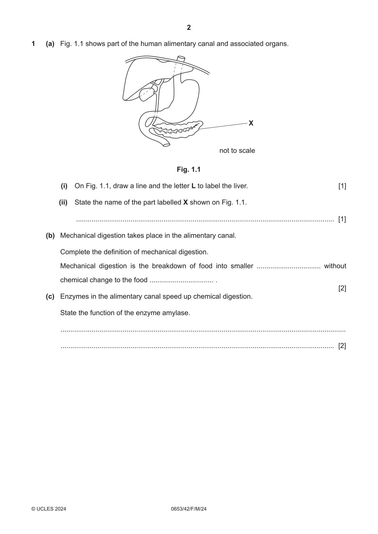 Cambridge IGCSE Science - Combined 0653 2024 Feb/March Paper 4 · Variant 2 question paper, page 2 of 20