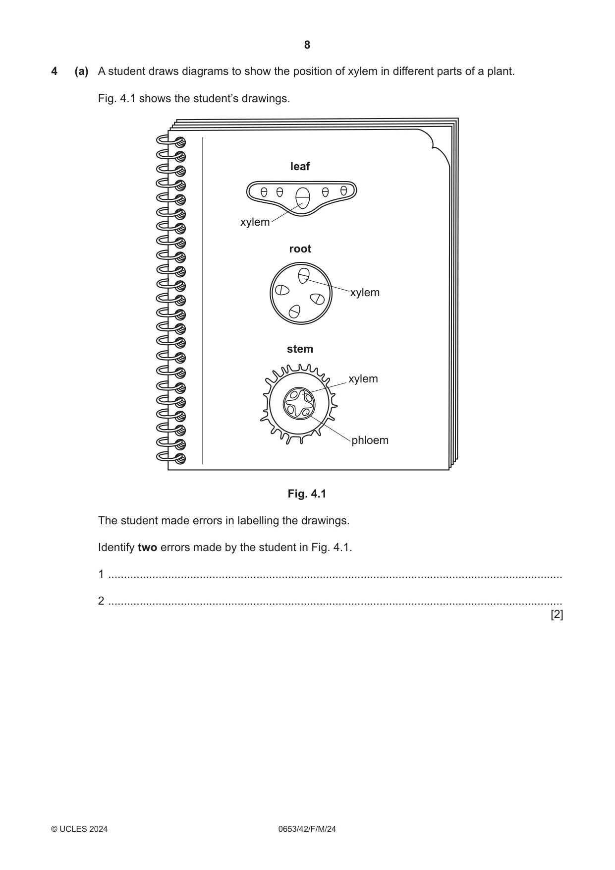 Cambridge IGCSE Science - Combined 0653 2024 Feb/March Paper 4 · Variant 2 question paper, page 8 of 20