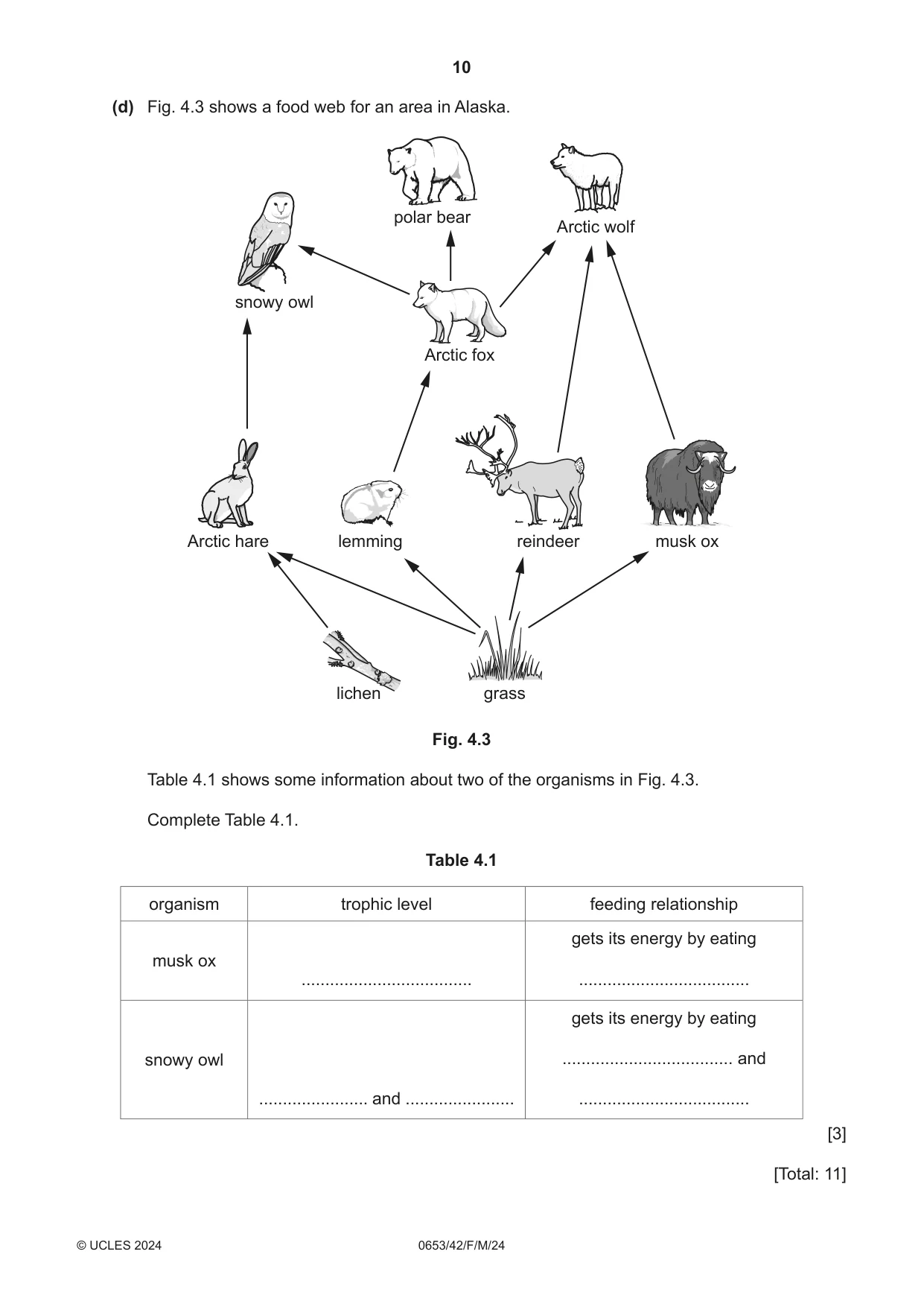 Cambridge IGCSE Science - Combined 0653 2024 Feb/March Paper 4 · Variant 2 question paper, page 10 of 20