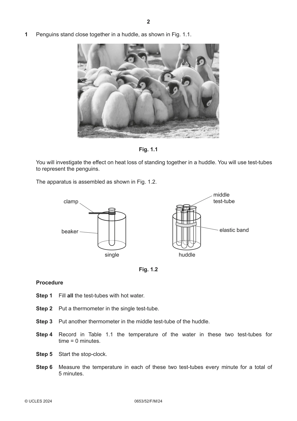 Cambridge IGCSE Science - Combined 0653 2024 Feb/March Paper 5 · Variant 2 question paper, page 2 of 12