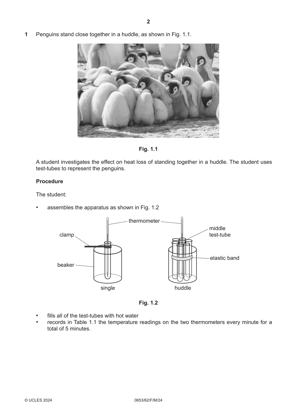 Cambridge IGCSE Science - Combined 0653 2024 Feb/March Paper 6 · Variant 2 question paper, page 2 of 16