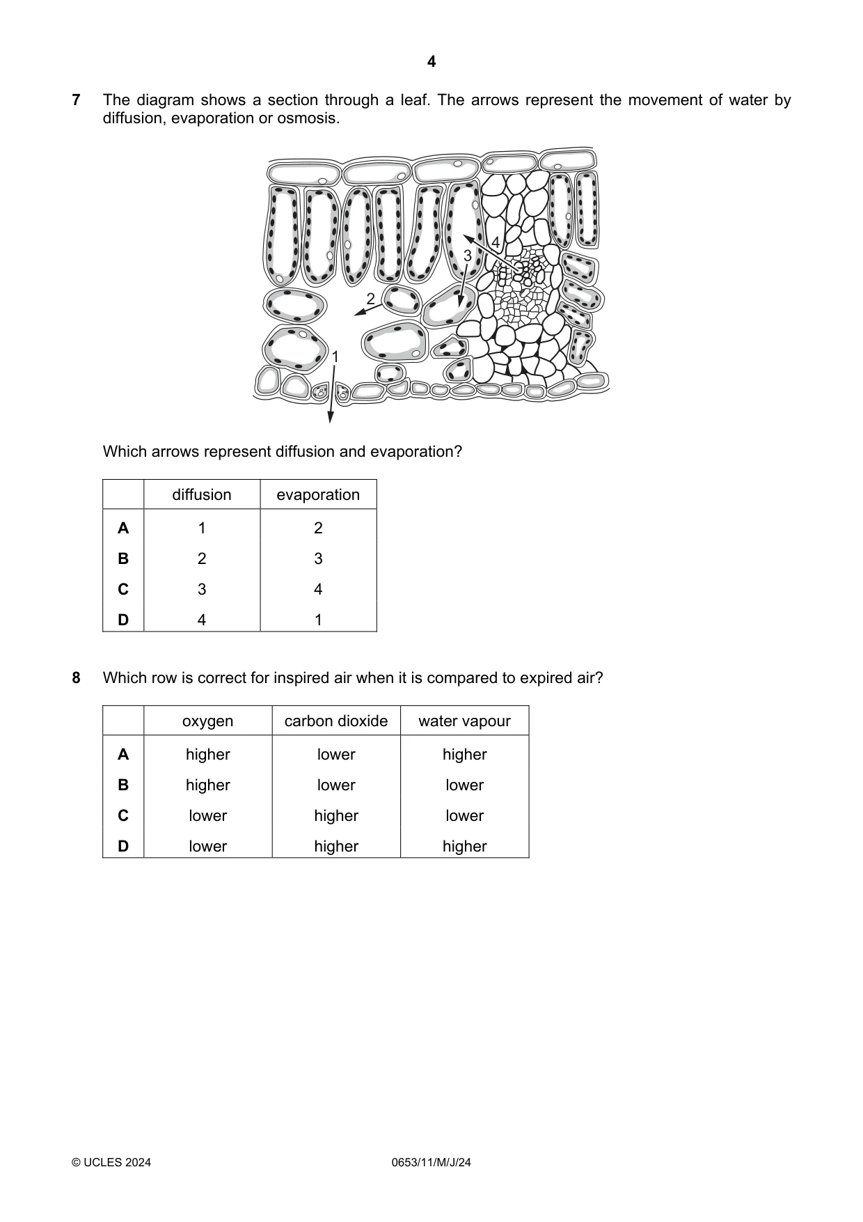 Cambridge IGCSE Science - Combined 0653 2024 May/June Paper 1 · Variant 1 question paper, page 4 of 16