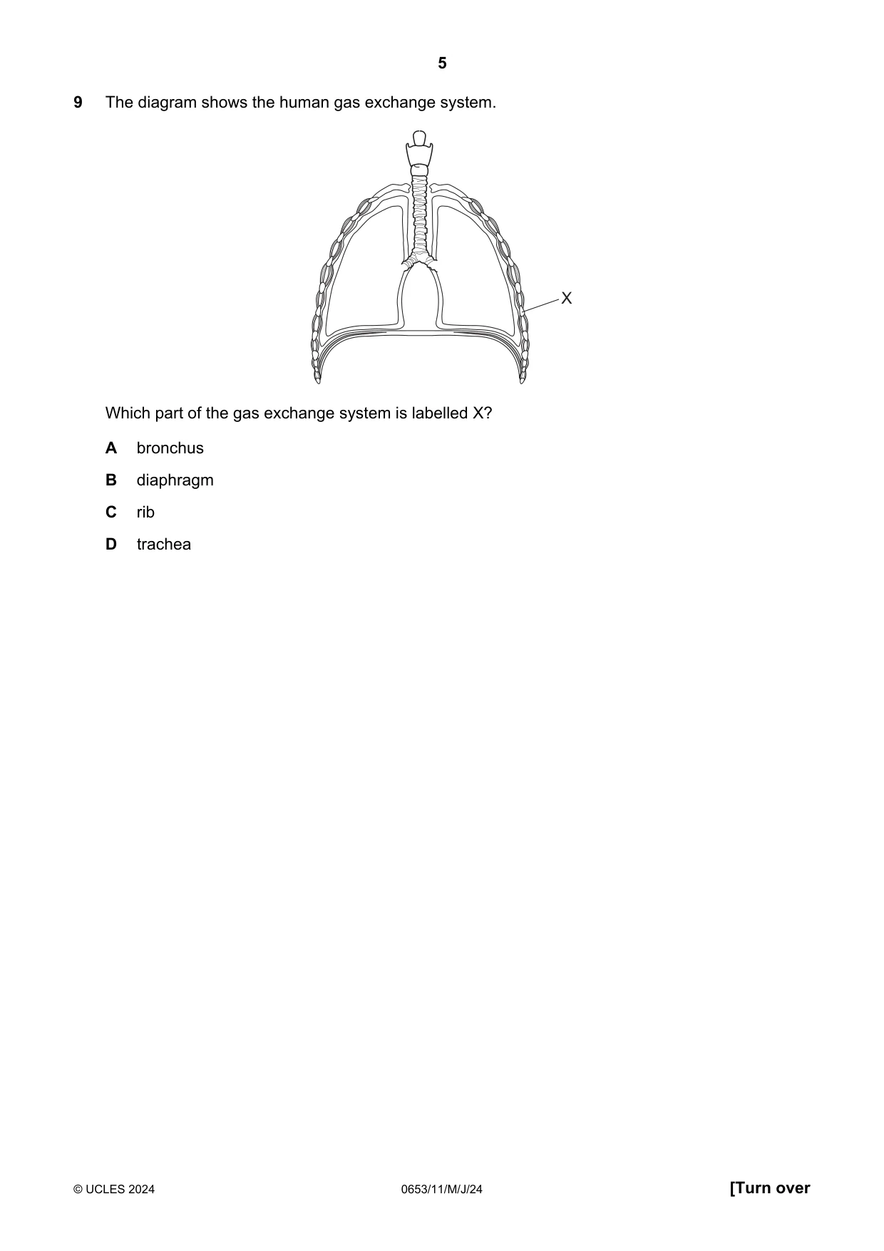 Cambridge IGCSE Science - Combined 0653 2024 May/June Paper 1 · Variant 1 question paper, page 5 of 16