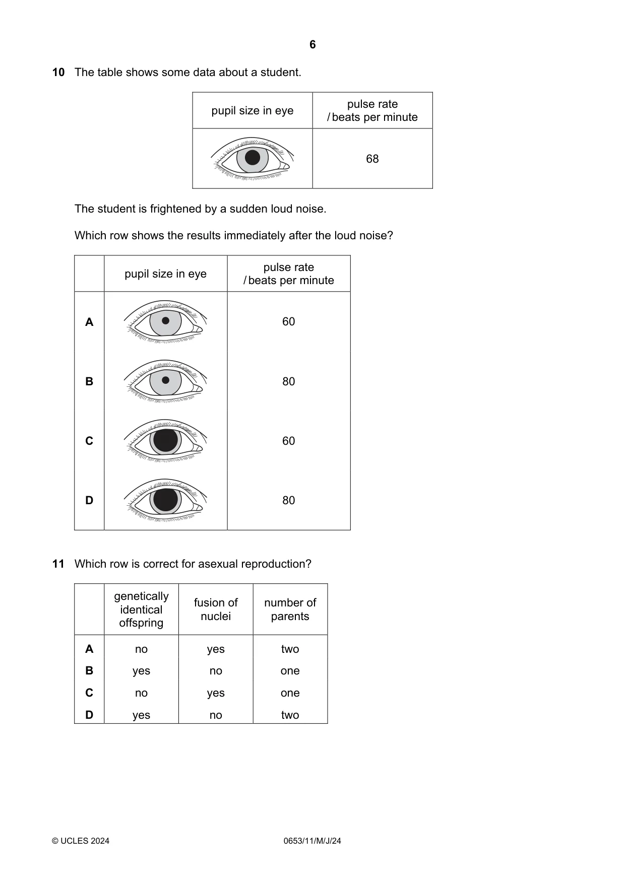 Cambridge IGCSE Science - Combined 0653 2024 May/June Paper 1 · Variant 1 question paper, page 6 of 16