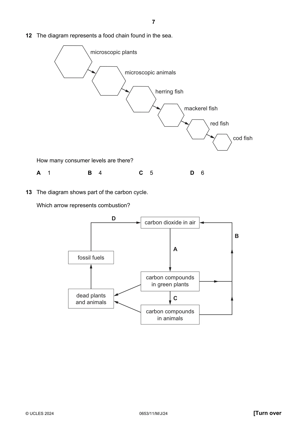 Cambridge IGCSE Science - Combined 0653 2024 May/June Paper 1 · Variant 1 question paper, page 7 of 16