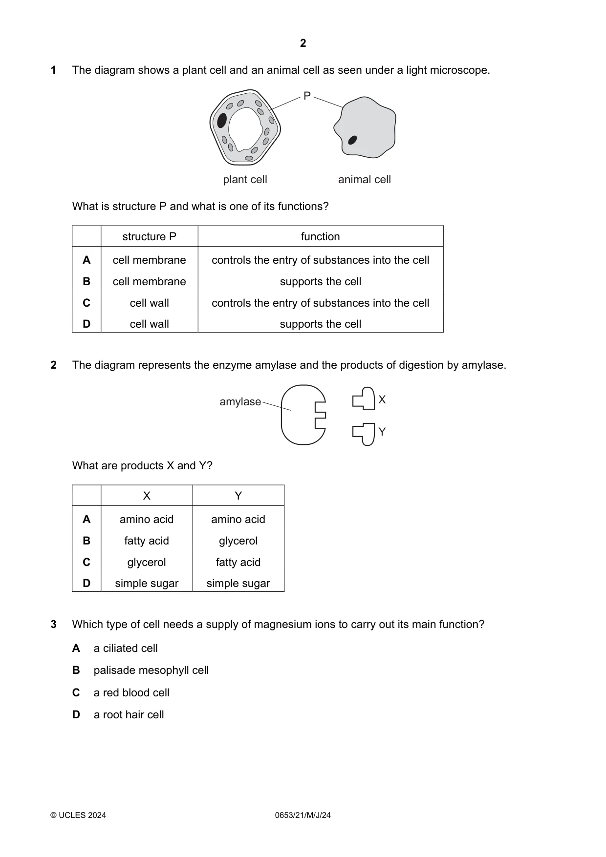 Cambridge IGCSE Science - Combined 0653 2024 May/June Paper 2 · Variant 1 question paper, page 2 of 16
