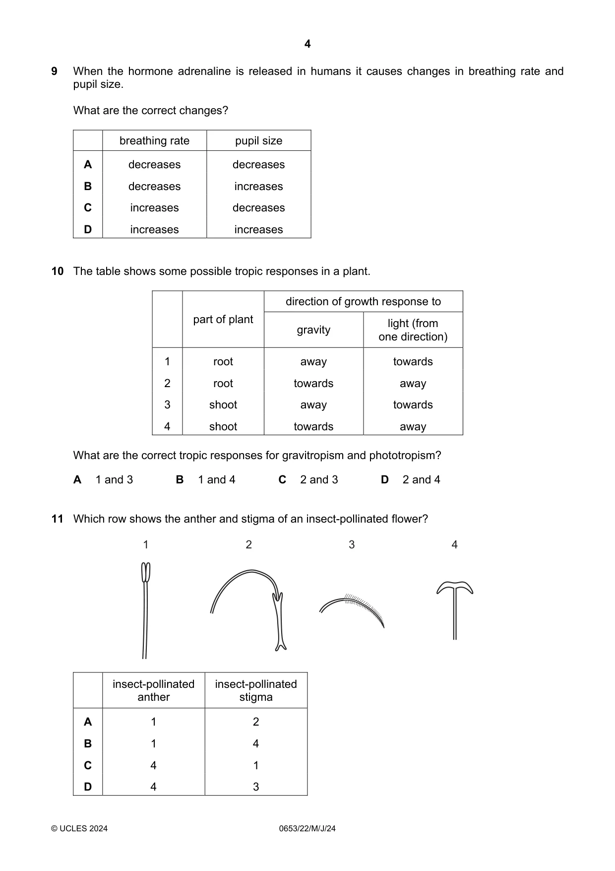 Cambridge IGCSE Science - Combined 0653 2024 May/June Paper 2 · Variant 2 question paper, page 4 of 16