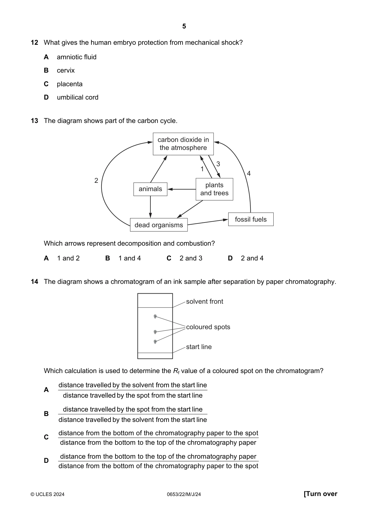 Cambridge IGCSE Science - Combined 0653 2024 May/June Paper 2 · Variant 2 question paper, page 5 of 16