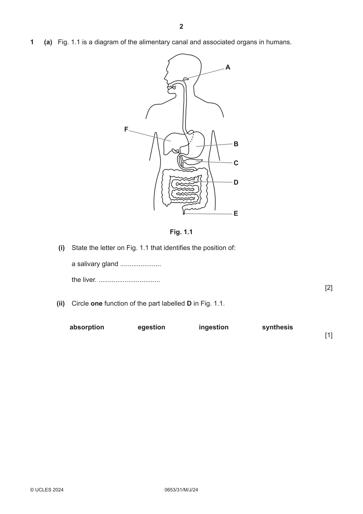 Cambridge IGCSE Science - Combined 0653 2024 May/June Paper 3 · Variant 1 question paper, page 2 of 24