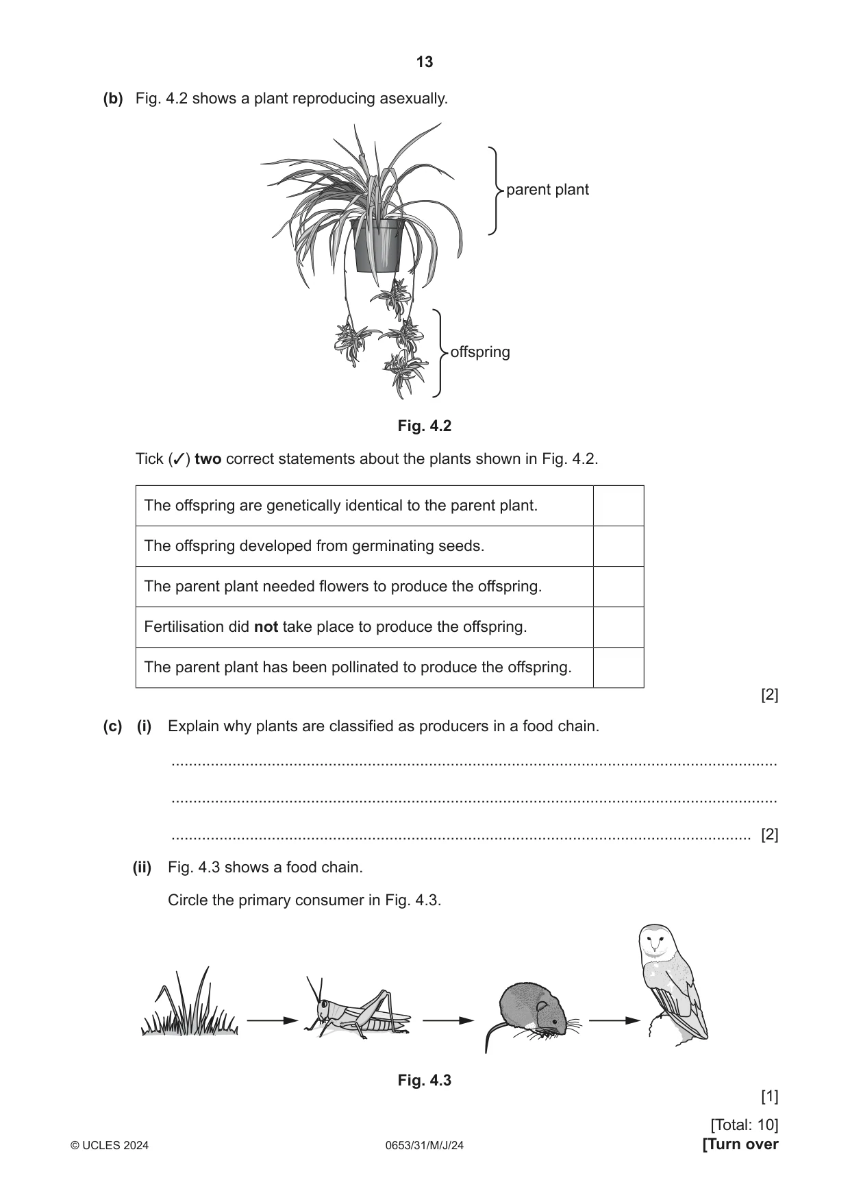 Cambridge IGCSE Science - Combined 0653 2024 May/June Paper 3 · Variant 1 question paper, page 13 of 24