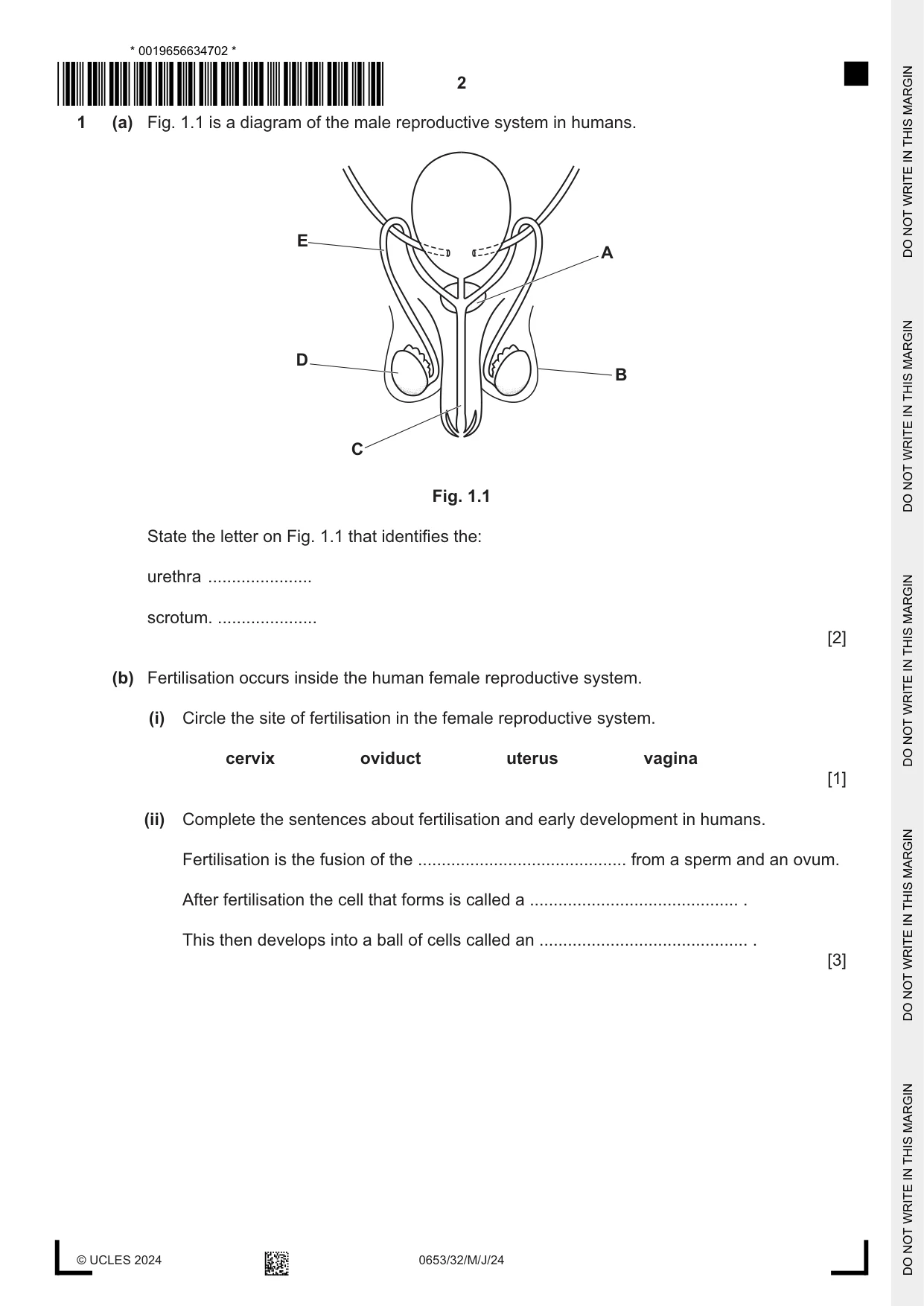 Cambridge IGCSE Science - Combined 0653 2024 May/June Paper 3 · Variant 2 question paper, page 2 of 24