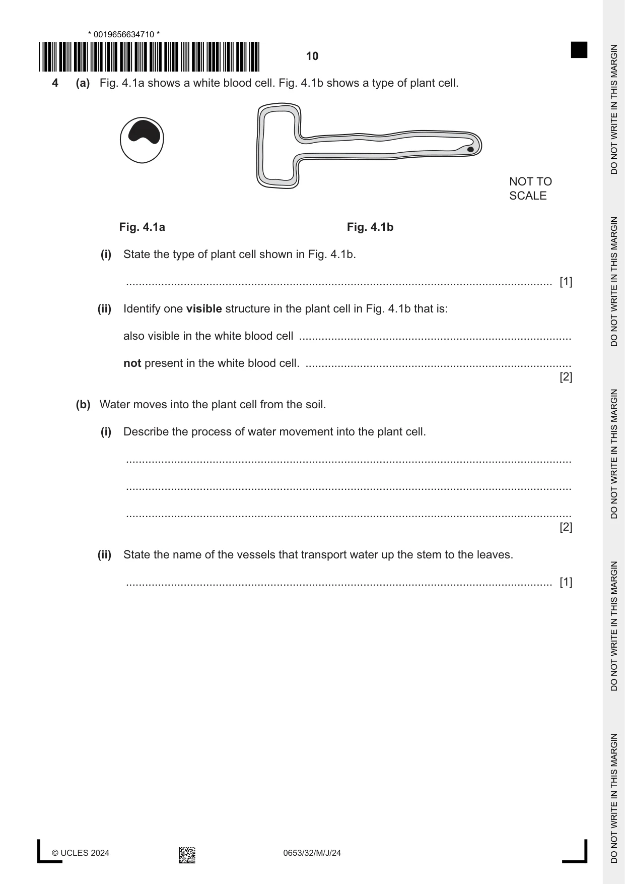 Cambridge IGCSE Science - Combined 0653 2024 May/June Paper 3 · Variant 2 question paper, page 10 of 24