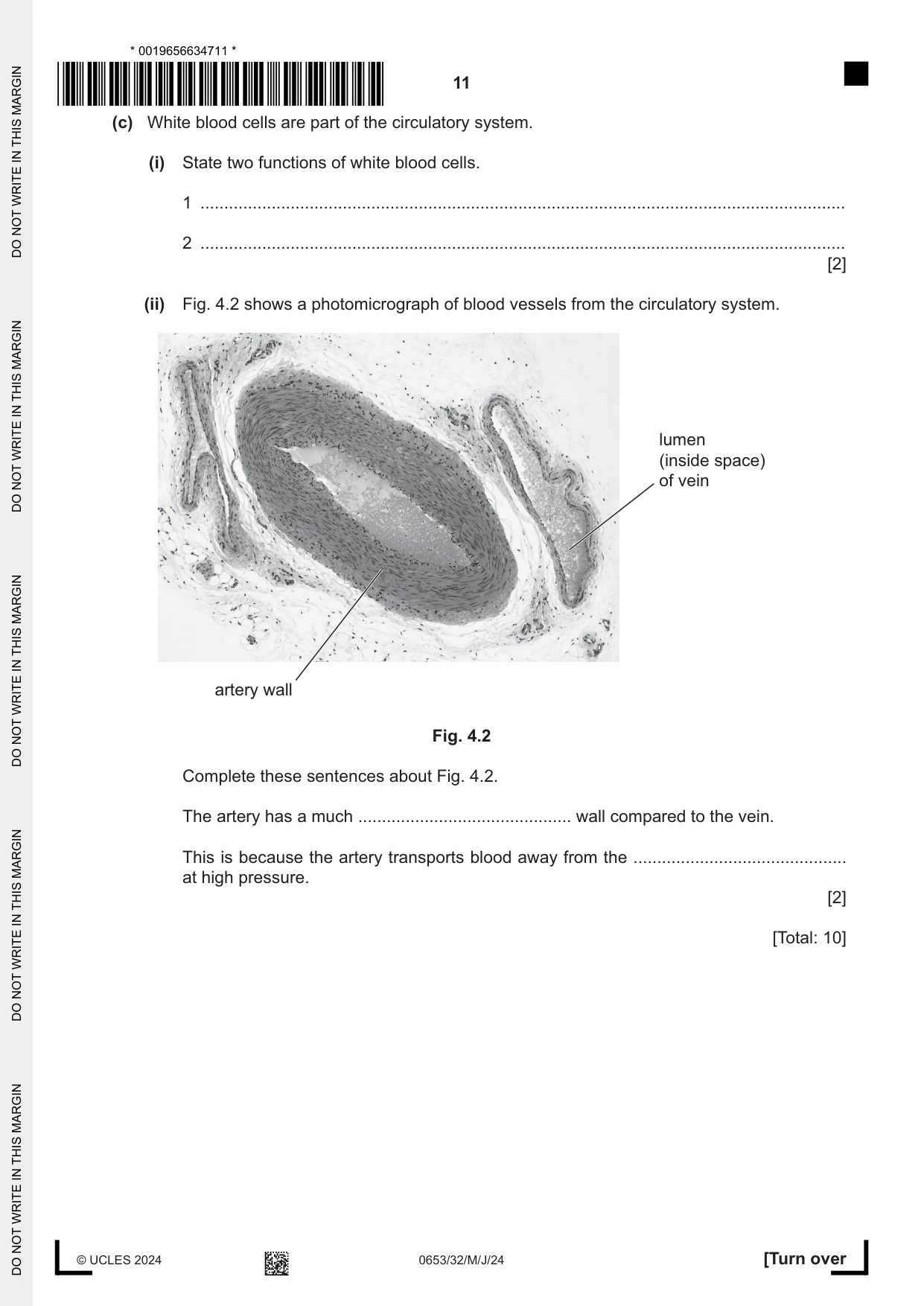 Cambridge IGCSE Science - Combined 0653 2024 May/June Paper 3 · Variant 2 question paper, page 11 of 24
