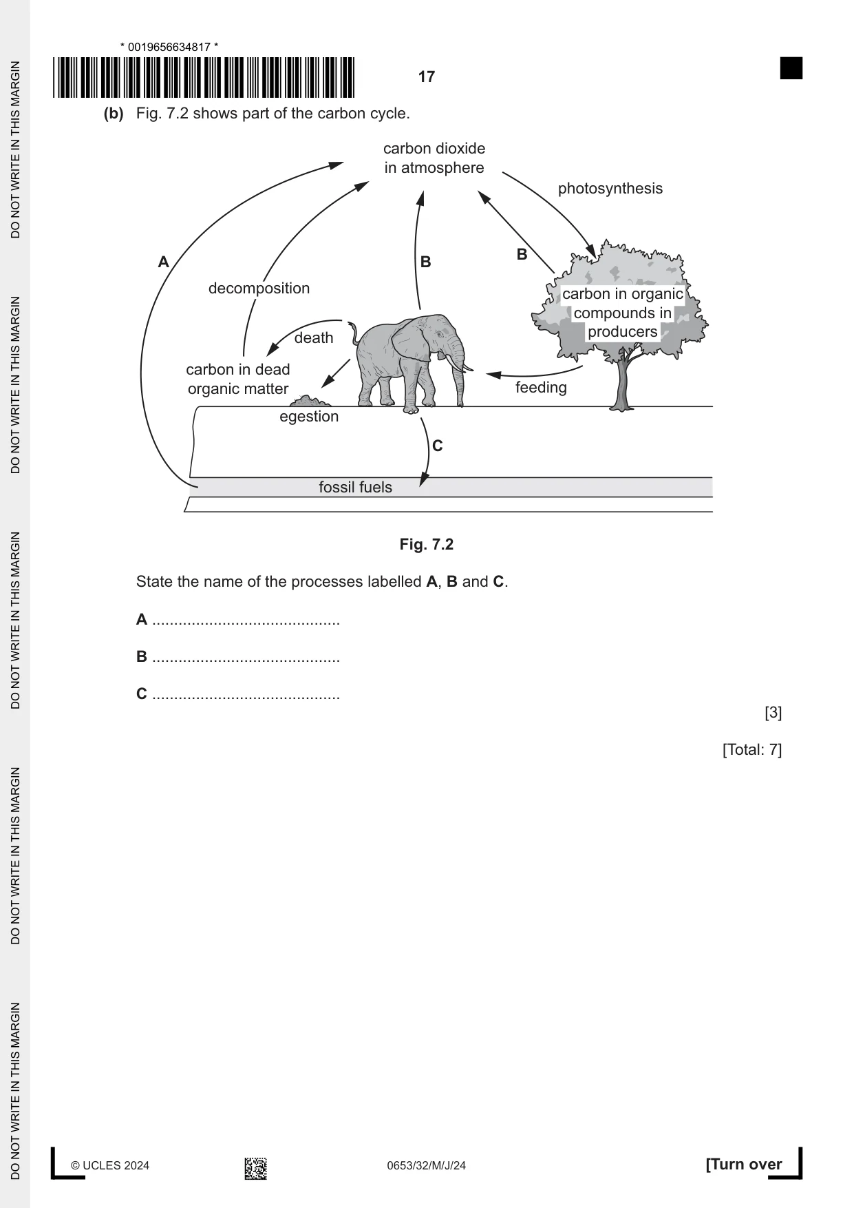 Cambridge IGCSE Science - Combined 0653 2024 May/June Paper 3 · Variant 2 question paper, page 17 of 24