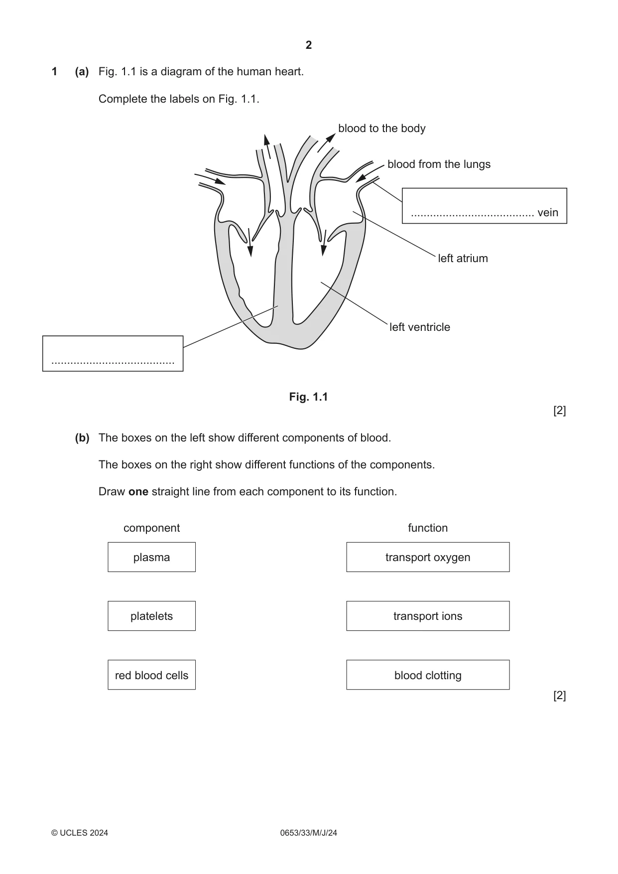 Cambridge IGCSE Science - Combined 0653 2024 May/June Paper 3 · Variant 3 question paper, page 2 of 24