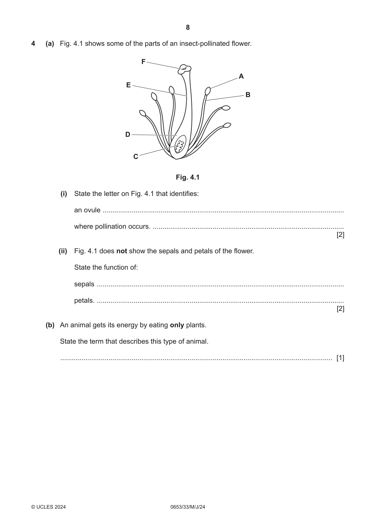 Cambridge IGCSE Science - Combined 0653 2024 May/June Paper 3 · Variant 3 question paper, page 8 of 24