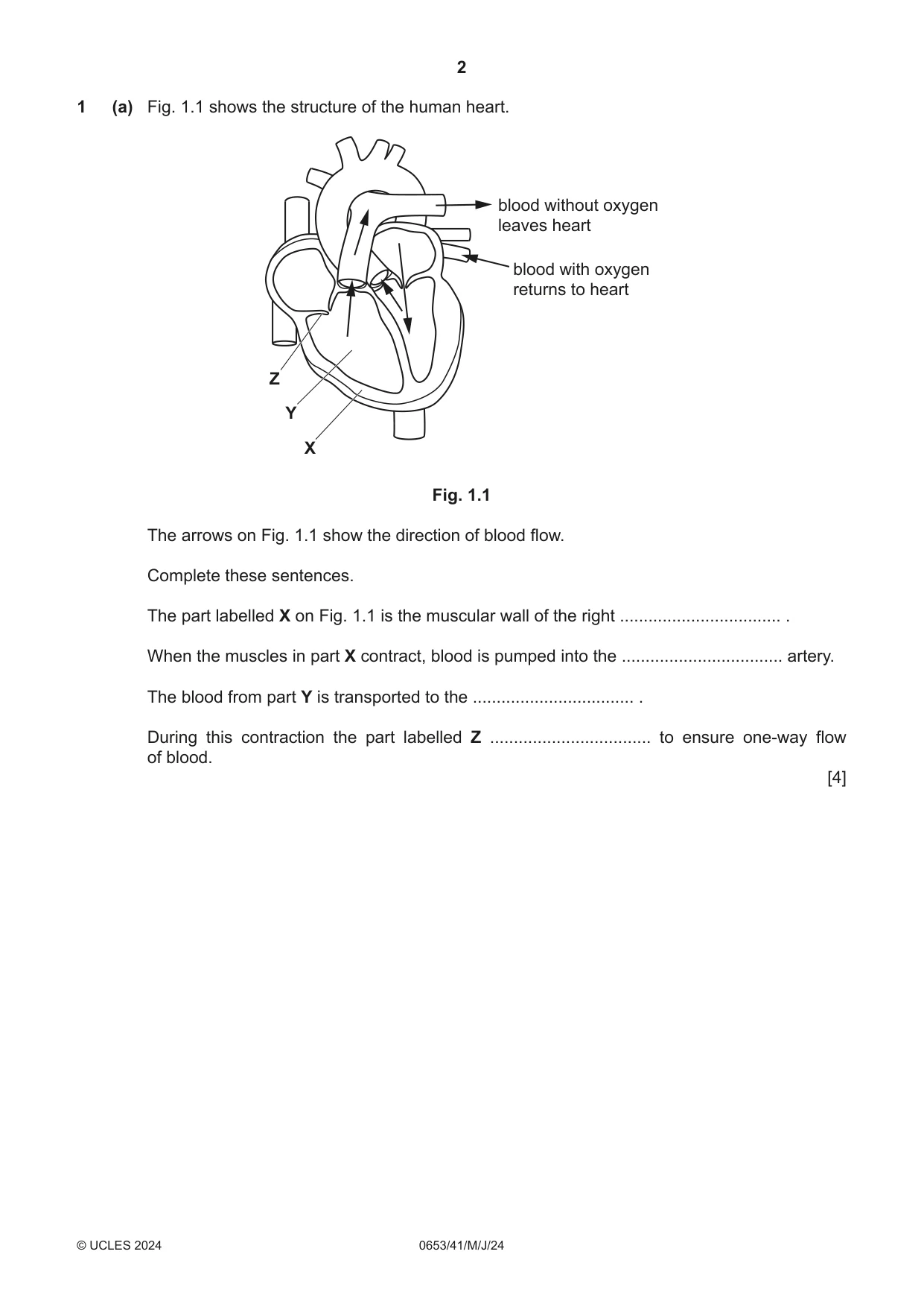 Cambridge IGCSE Science - Combined 0653 2024 May/June Paper 4 · Variant 1 question paper, page 2 of 24