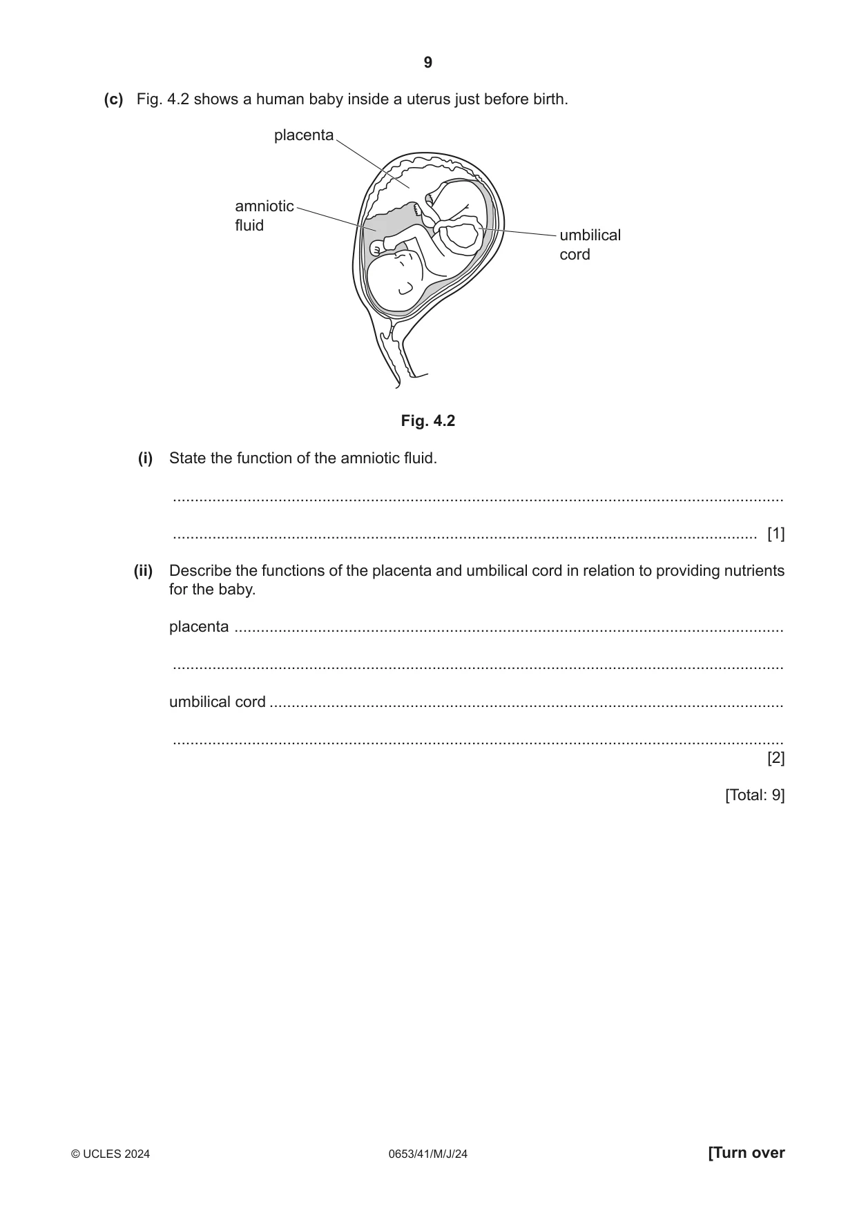 Cambridge IGCSE Science - Combined 0653 2024 May/June Paper 4 · Variant 1 question paper, page 9 of 24