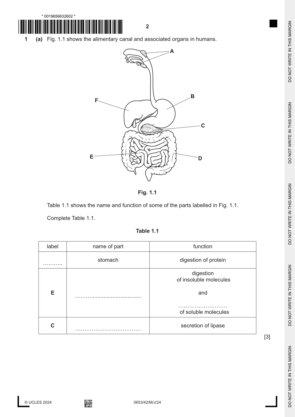 Cambridge IGCSE Science - Combined 0653 2024 May/June Paper 4 · Variant 2 question paper, page 2 of 20