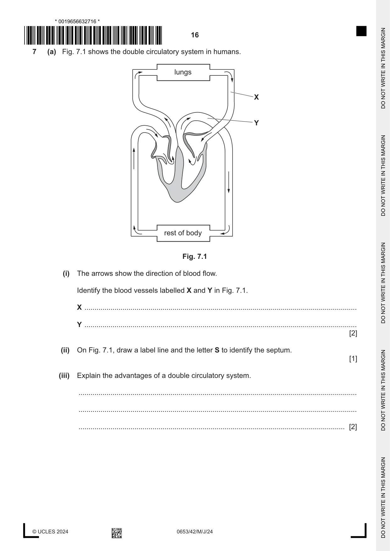 Cambridge IGCSE Science - Combined 0653 2024 May/June Paper 4 · Variant 2 question paper, page 16 of 20