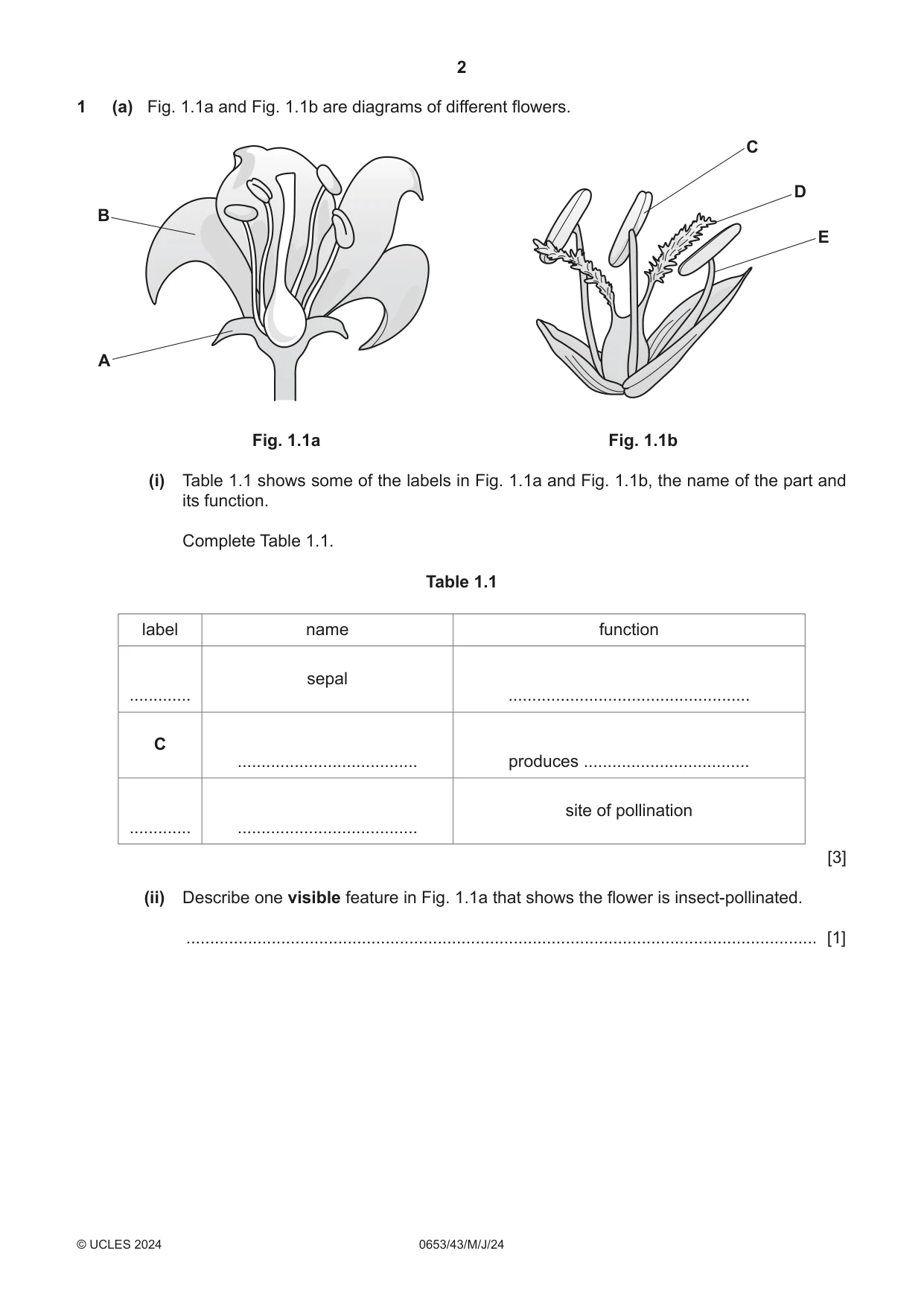 Cambridge IGCSE Science - Combined 0653 2024 May/June Paper 4 · Variant 3 question paper, page 2 of 24
