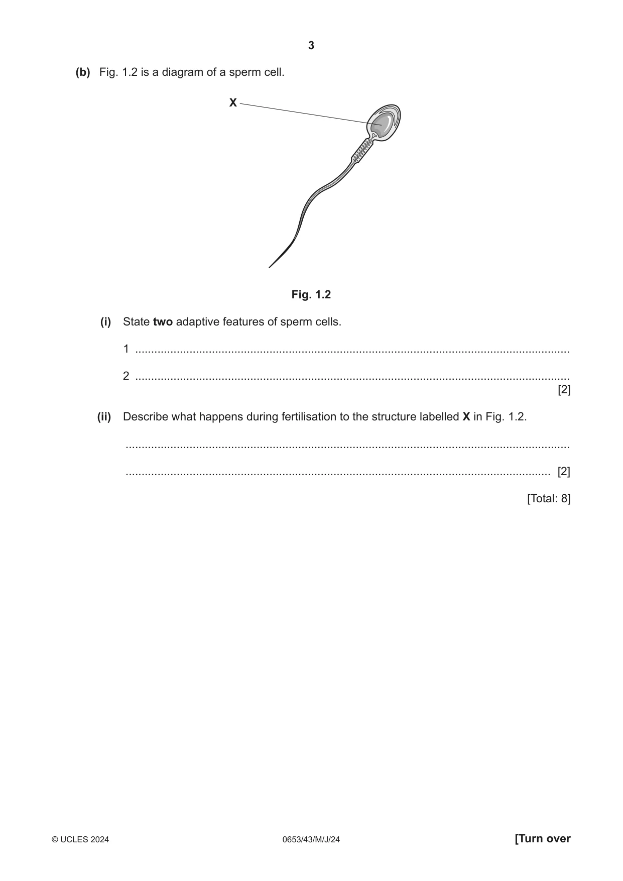 Cambridge IGCSE Science - Combined 0653 2024 May/June Paper 4 · Variant 3 question paper, page 3 of 24