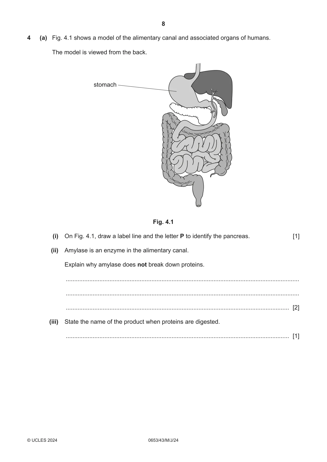 Cambridge IGCSE Science - Combined 0653 2024 May/June Paper 4 · Variant 3 question paper, page 8 of 24