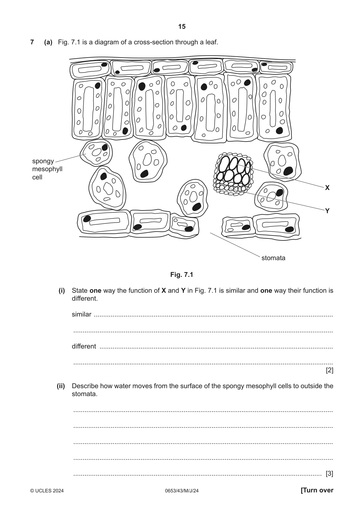 Cambridge IGCSE Science - Combined 0653 2024 May/June Paper 4 · Variant 3 question paper, page 15 of 24
