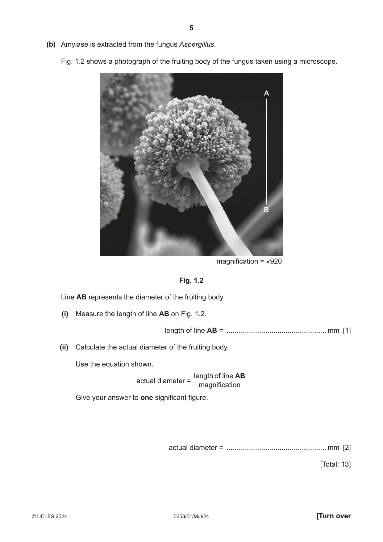 Cambridge IGCSE Science - Combined 0653 2024 May/June Paper 5 · Variant 1 question paper, page 5 of 16