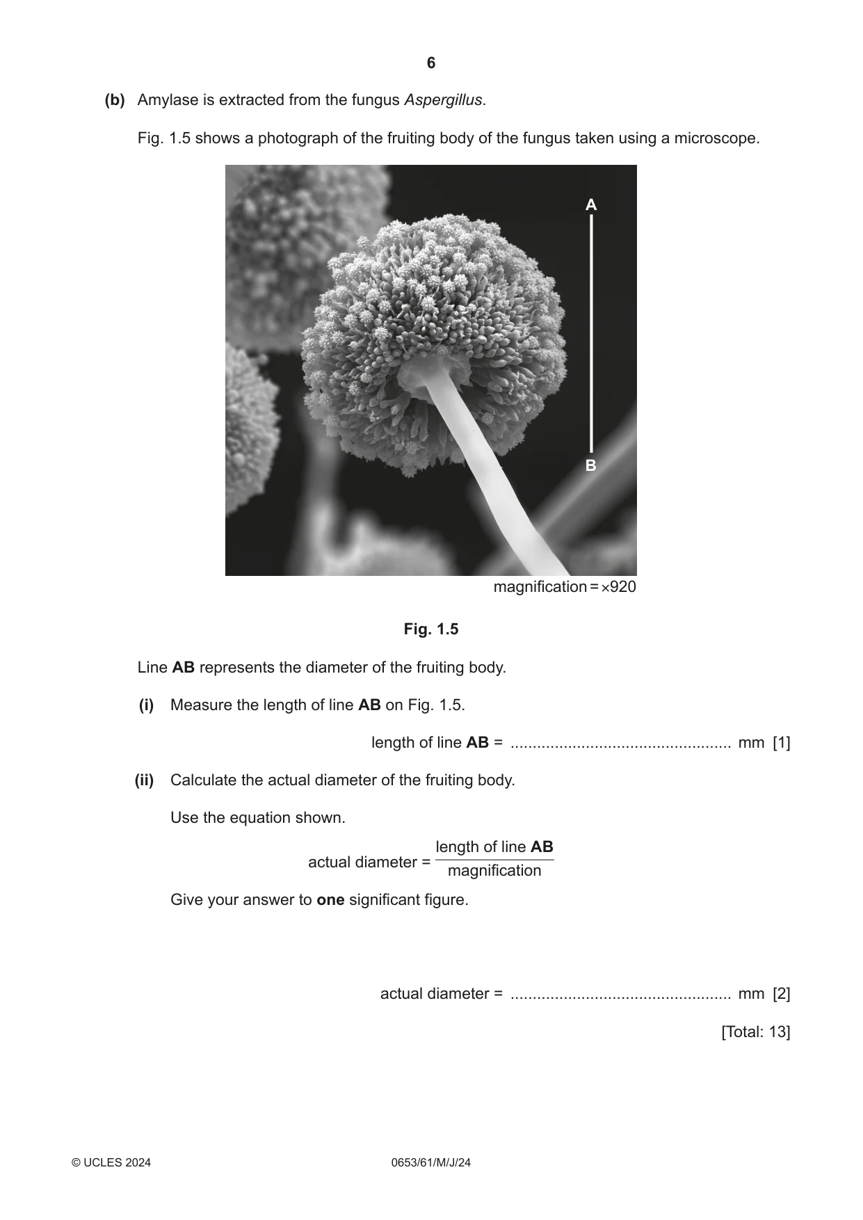 Cambridge IGCSE Science - Combined 0653 2024 May/June Paper 6 · Variant 1 question paper, page 6 of 20