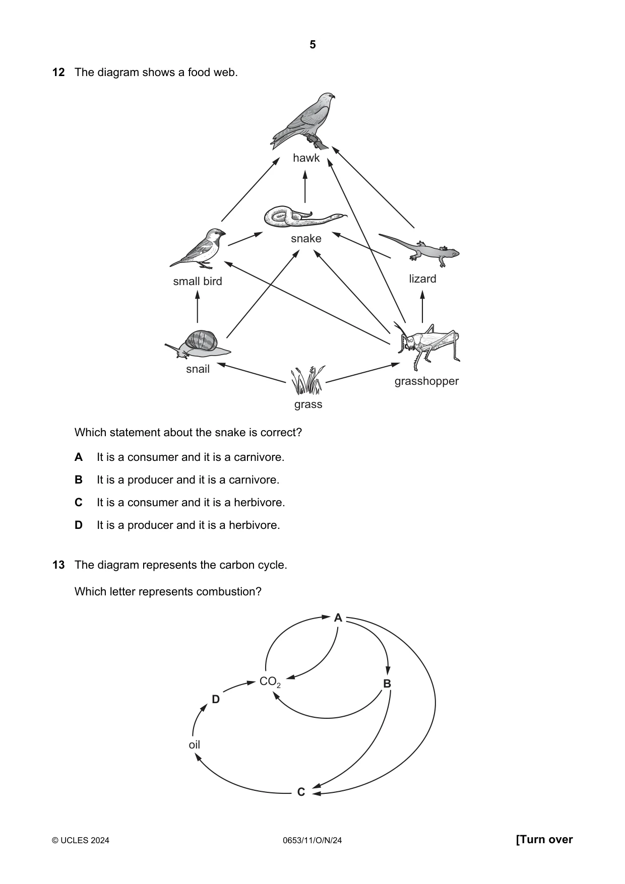 Cambridge IGCSE Science - Combined 0653 2024 Oct/Nov Paper 1 · Variant 1 question paper, page 5 of 16