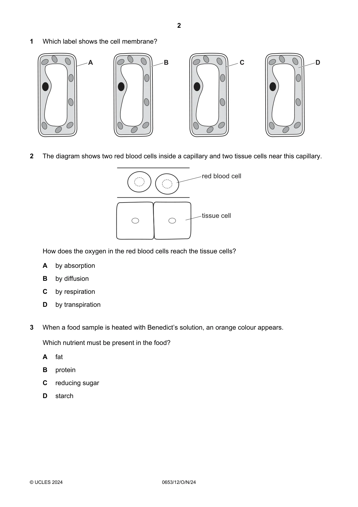 Cambridge IGCSE Science - Combined 0653 2024 Oct/Nov Paper 1 · Variant 2 question paper, page 2 of 16