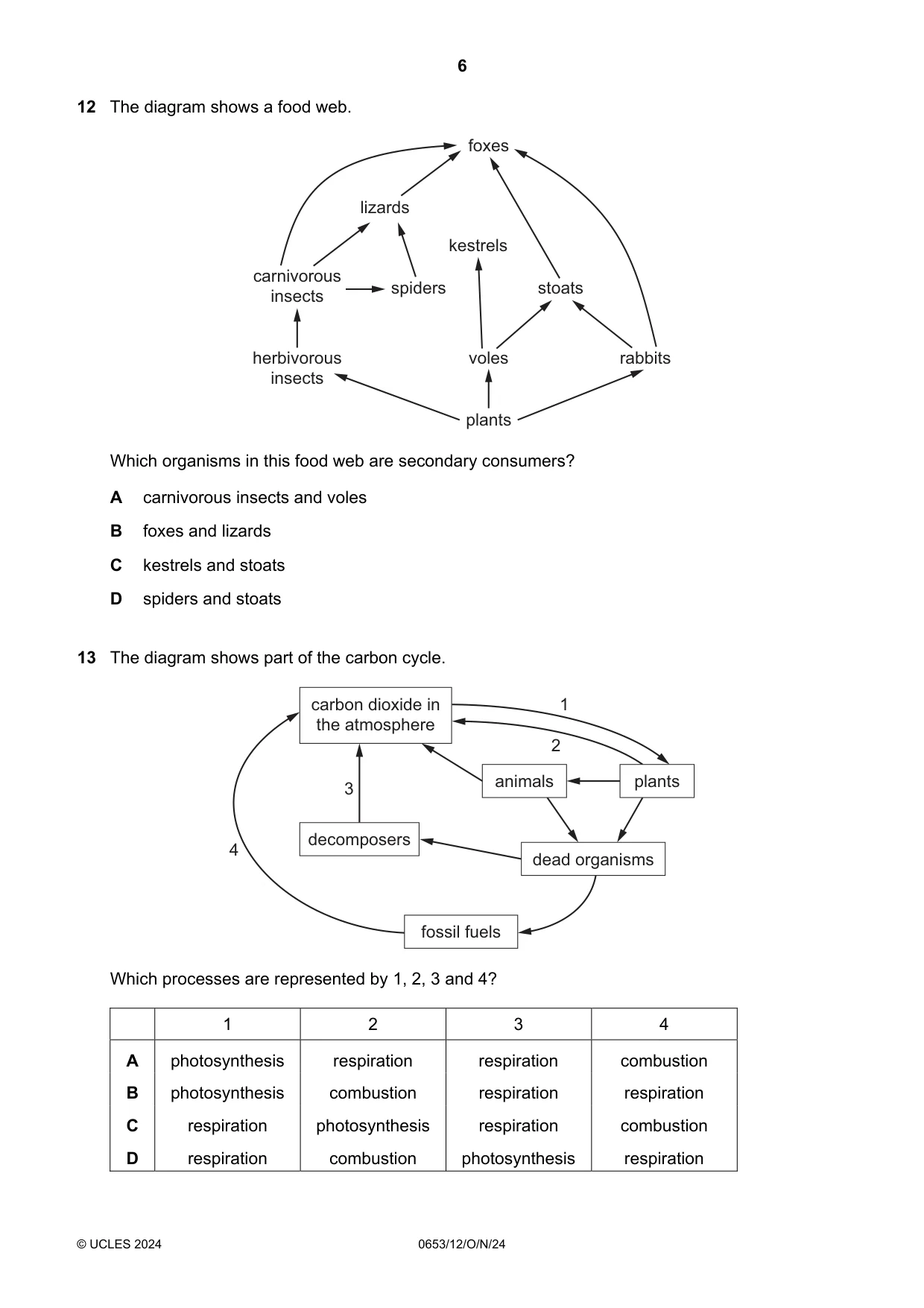 Cambridge IGCSE Science - Combined 0653 2024 Oct/Nov Paper 1 · Variant 2 question paper, page 6 of 16