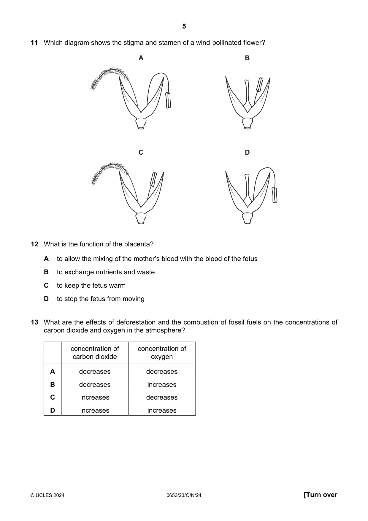 Cambridge IGCSE Science - Combined 0653 2024 Oct/Nov Paper 2 · Variant 3 question paper, page 5 of 16