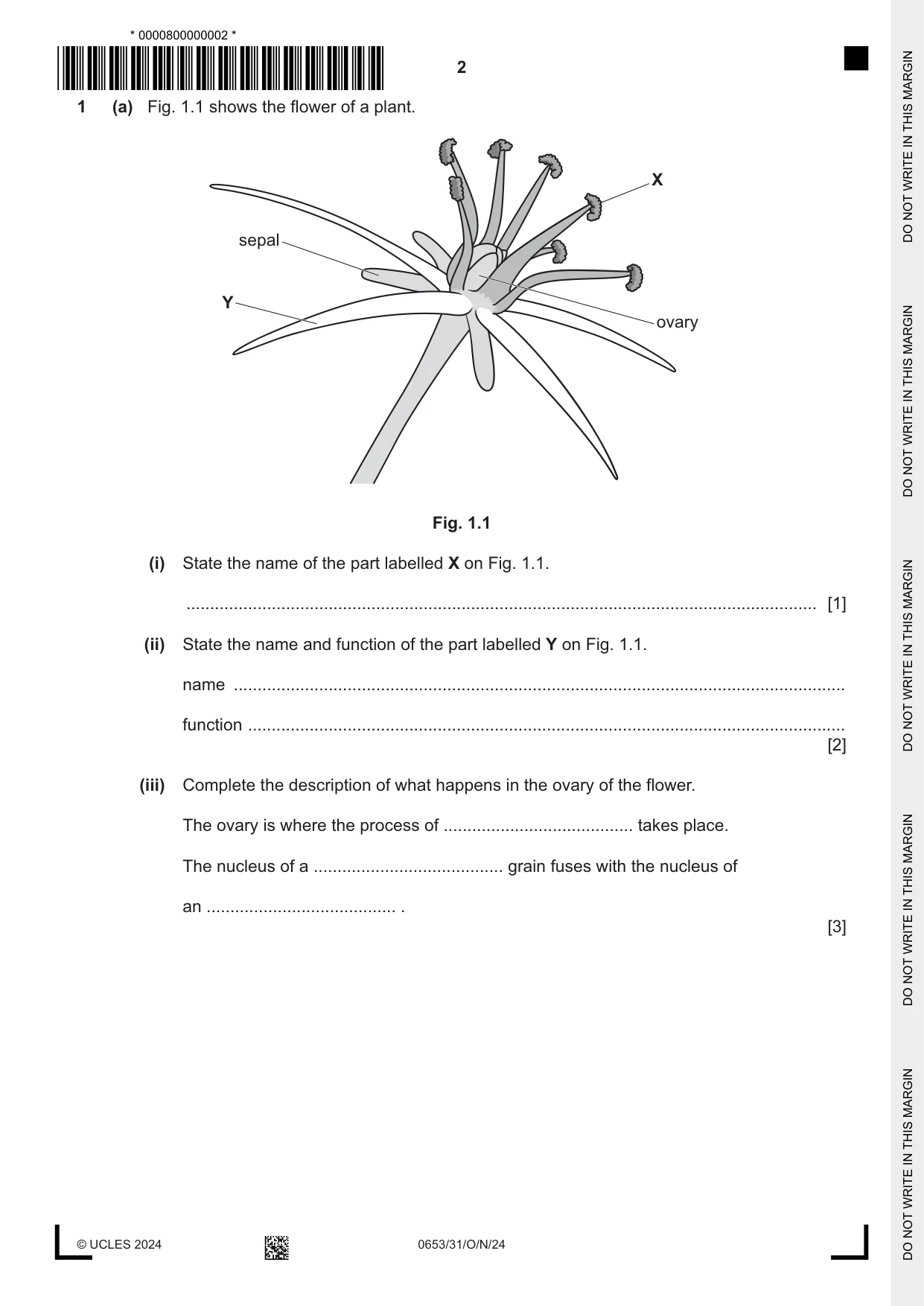 Cambridge IGCSE Science - Combined 0653 2024 Oct/Nov Paper 3 · Variant 1 question paper, page 2 of 24
