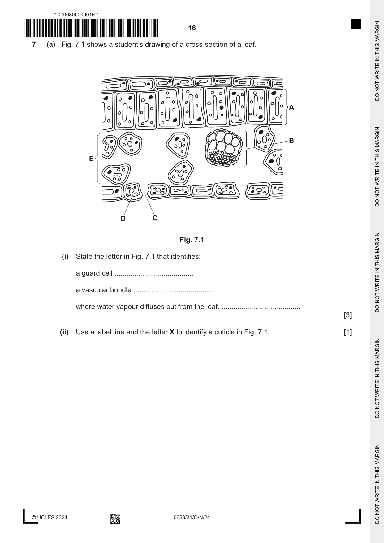 Cambridge IGCSE Science - Combined 0653 2024 Oct/Nov Paper 3 · Variant 1 question paper, page 16 of 24